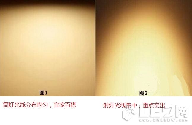 ���գ�LED�����LEDͲ�� ɵɵ�ֲ��壿