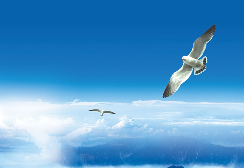 ��I(y��)�Ļ��Ǐ���������� �����I(y��)Ҫ��ҕ