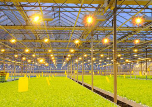 �r(n��ng)�I(y��)�����Ј������_ ��?q��)����M(j��n)�����I(y��)����l(f��)չ