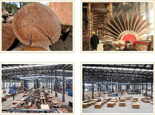 �Ї�ʮ����Ʒ�ƣ�̩�������콨���������W(xu��)