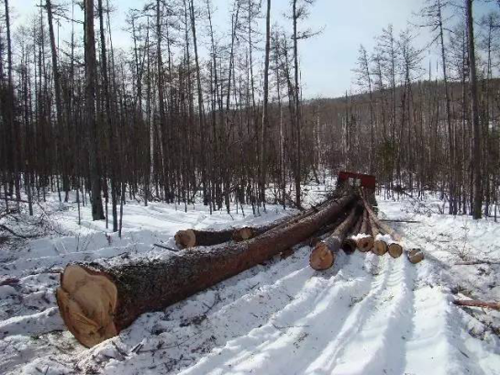 �������_Ʒ�ơ���ɼľ��ģ���ȻľԴ������֮��