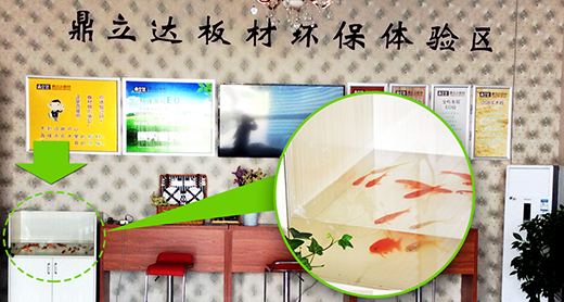 �����_��ģ�Ʒ�Ƽ��� �Գք�(chu��ng)��