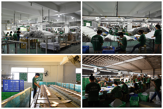 �ӏ��^�������s�u(y��)�p������(sh��)�����w