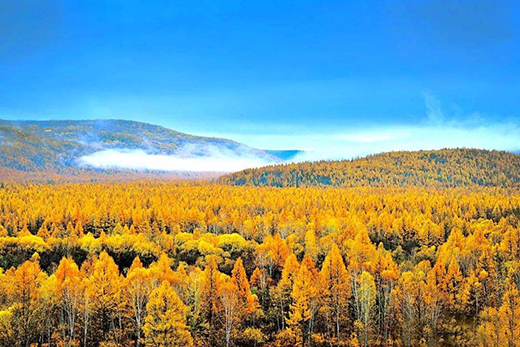 �Ї�ʮ���i��Ʒ�� �����������i�iס��&��ȫ