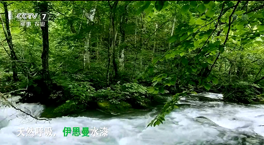 ��˼��ˮ��s����ҕ �c��ͬҊ�C�h(hu��n)��Ʒ�Ƶĺ�������