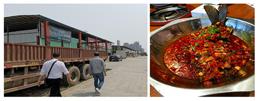 ��(x��)�꼊��ϴ�������y���S�~�t����