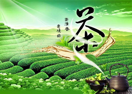 深耕市場(chǎng)，讓年輕人愛上茶
