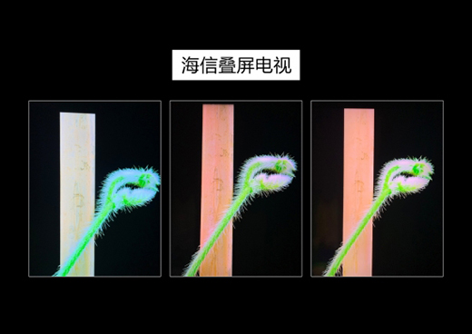 �Z���t�����ż����l(f��)��ȫ�����_(t��i)�B���ҕ��