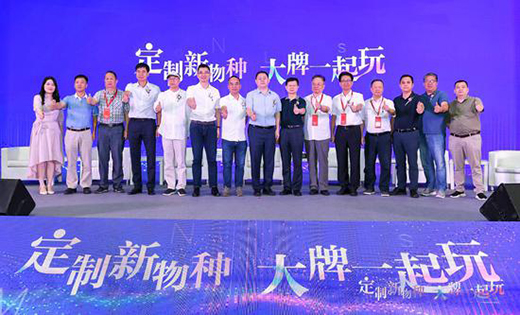 ������ɯ�������Ŵ��� ����r�����B(t��i)Ȧ�I���ИI(y��)