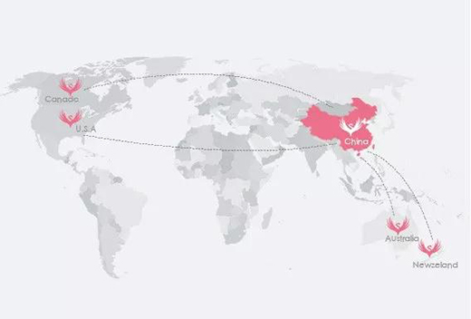 �댚���|��ע�Ї����M(f��i)�ߵ�˯����ϲ�@�Ї�500��߃r(ji��)ֵƷ��