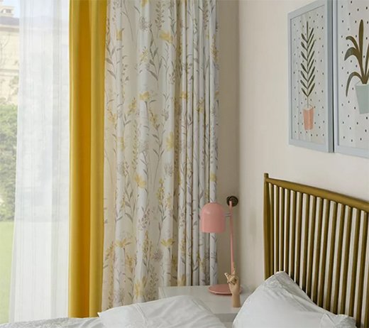 ���������o�c���ȵ���