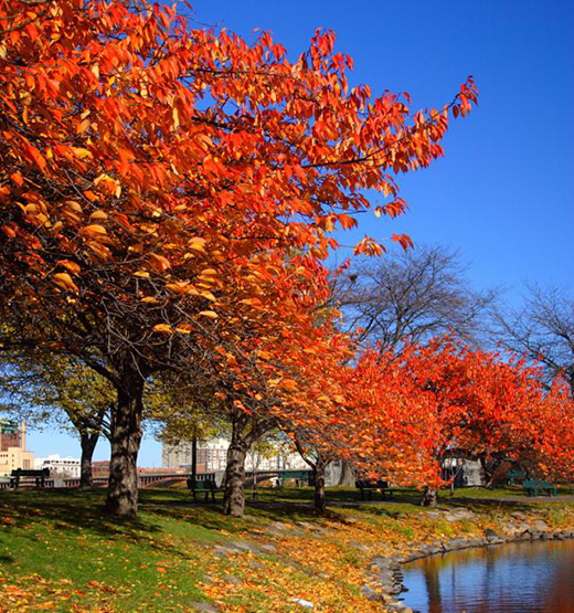 ������ԡ��EA5��������£�������ԡ