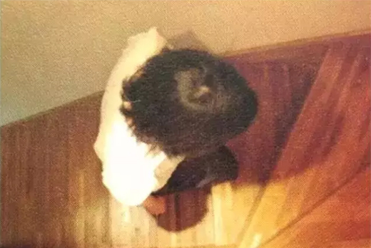 ���_�������g(sh��)���ص����˞鱾�Č����Մ�Ҿ������O(sh��)Ӌ