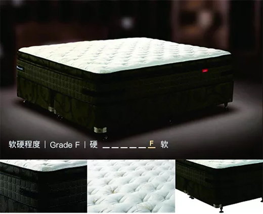 ���Ї�ʮ��Ʒ�ơ��z�i���|���Ƽ����I(l��ng) ��Ȼо��