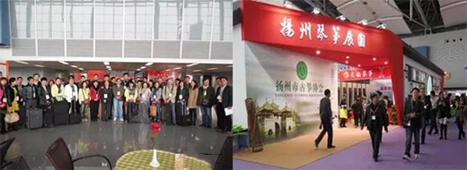 ��ʮһ�ÏV�݇�(gu��)�H��(l��)��չ���c(di��n)���