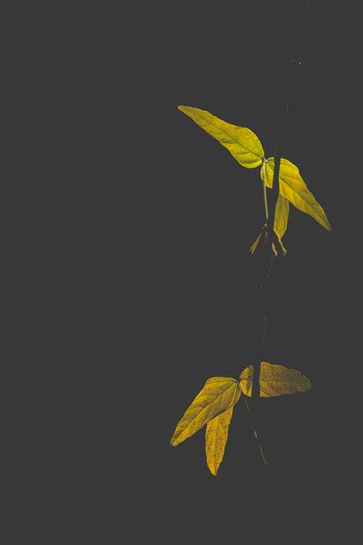 ������ν���ꖹⷿ��׌����ܴ��������!