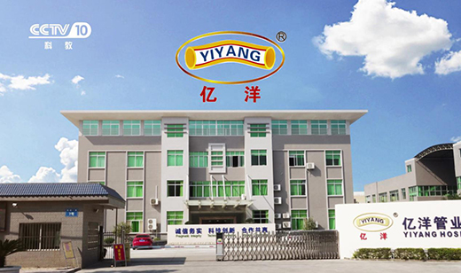 2019�չ�֮�� �|��ܘI(y��)��ҕ�V��Ƭ�_��