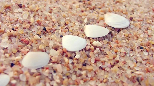 ؐ����׌��ȩ�o̎�� ׌ˇ�g(sh��)��ӯ�������g