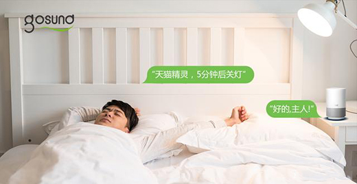 С���δ��ǻ���Gosund���ܲ�������֮�g�������m�Ҿ�