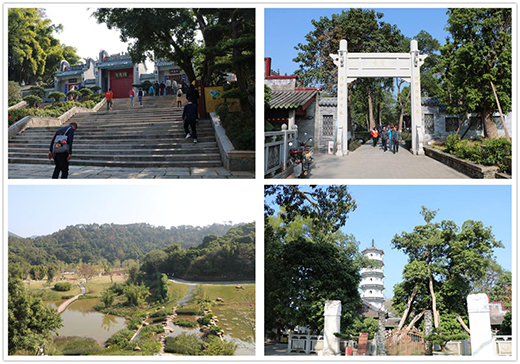 ���Y�Ó����ж�֮�� ӭ�L(f��ng)����