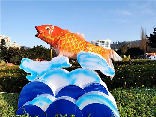 ���㡰���~�S���T����I������ƻ��´���ɫ