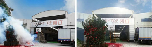 ���A2020 | �P����ԡ�������ľ������_(k��i)����