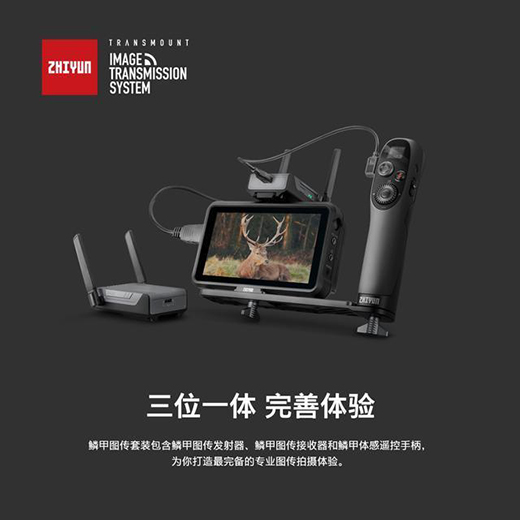 ���Ʒ�(w��n)�������[�׈D�����b���_���Ĕz�����T