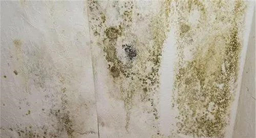 ��Ϳؐ���۾��п����־�����������Ч���ͽ����Ⱦ����