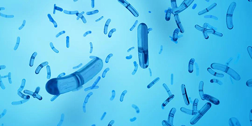 ��ˮ�ИI(y��)��������������I(y��)ԓ����� ���N���y�}?