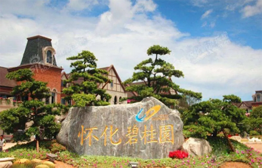 ��(f��)����(zh��n)���ߡ����Ό���ˇ�g(sh��)Ϳ�Ͼ����_����?