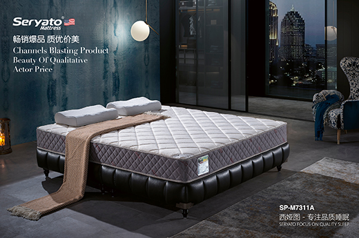 3��15���ԣ����I�DƷ�ƈԛQ�S�o���M�ߙ�(qu��n)��