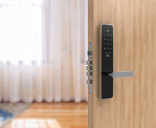 �f����K����������T�iӭ����δ����