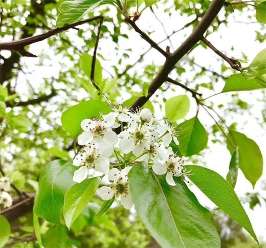 Ϳ�m��ˇ�g(sh��)Ϳ�ϣ����������ߝu�h(yu��n)���������!!