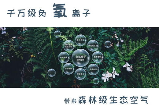 ؓ(f��)�x�ӿ՚�����������Ճ��I(l��ng)��ĺ���