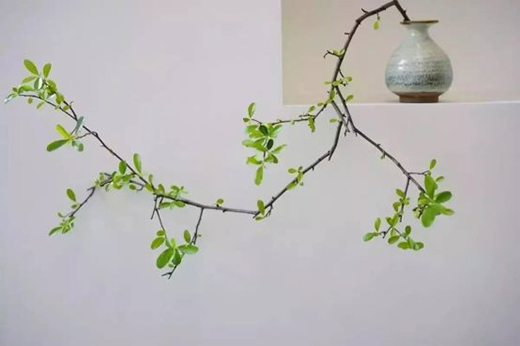 ���ϊW��ī퍡�����ʽ�����_�ۣ��{ʲô�ɞ����Юa(ch��n)����