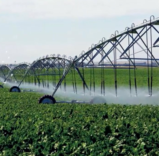 �P(y��ng)�ӹܘI(y��)���ֽ����h(hu��n)���a(ch��n)�I(y��) �c���B(t��i)�����R������δ��