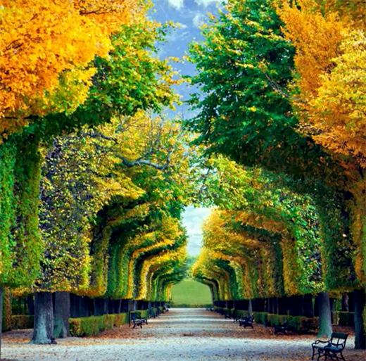 �P(y��ng)�ӹܘI(y��)���ֽ����h(hu��n)���a(ch��n)�I(y��) �c���B(t��i)�����R������δ��