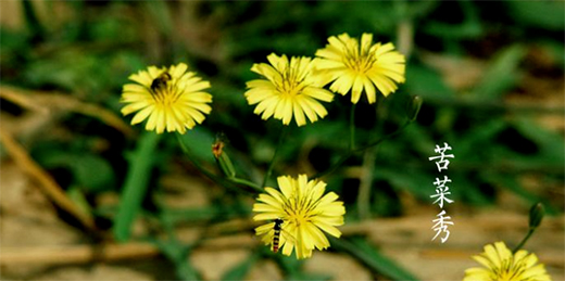 �A�����|24��(ji��)��������������ϲ�g�Ġ�B(t��i)��С�M���A�M!