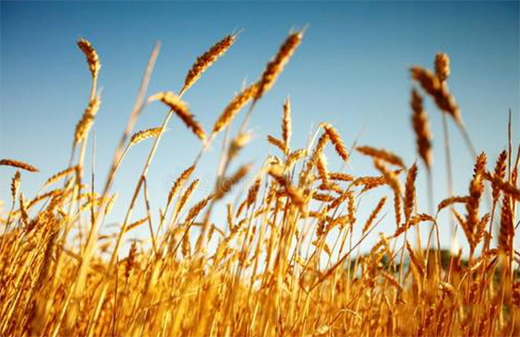 �A�����|24��(ji��)��������������ϲ�g�Ġ�B(t��i)��С�M���A�M!