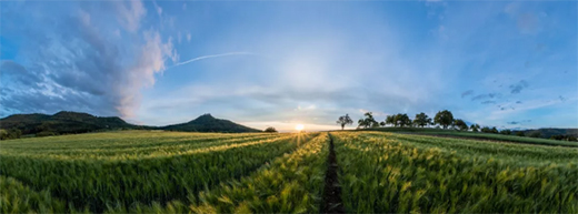 ͬ��՚��ܣ�С��ӯ�M�����ښgϲ