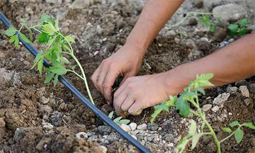 �x�_(d��)�ܘI(y��)��â�N�����������������S������æ