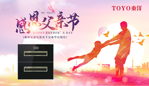 TOYO�|����������H��(ji��)�����ڏN�����c���P��