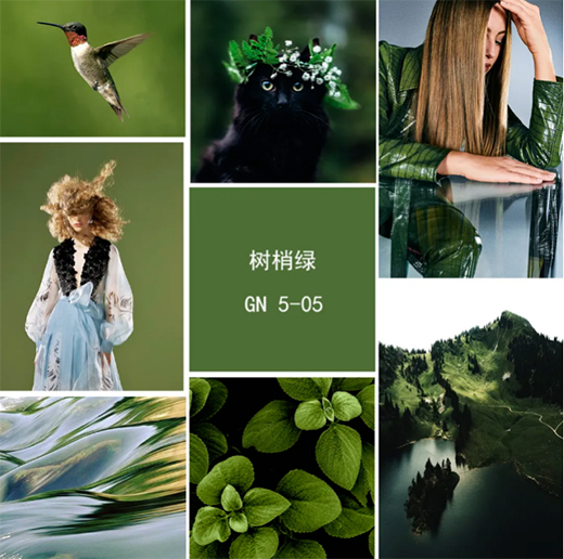 �W�_��ˇ�g(sh��)Ϳ�ϣ����ҾG ���Դ�ص�Ԋ��