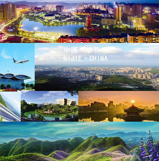 ϲӍ | �߶�Ʒ�ƽ�չ������ˮ�Ꮚ(qi��ng)��(sh��)���v�F�ݻ����Q�l(xi��ng)