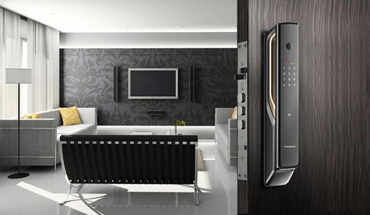 �Mֹ���i����������|���o(h��)��ľ�������