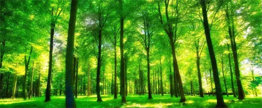 �l�c��(zh��ng)�h�鹝(ji��)�ܽ��������o(h��)�h(hu��n)���l(f��)