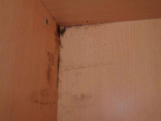 ��������÷�꼾�������ղ��P䓏N����ݑ���