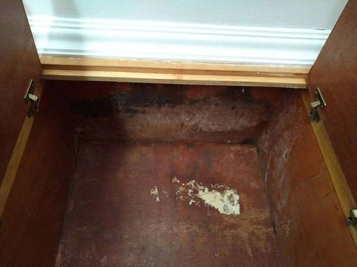 ��������÷�꼾�������ղ��P䓏N����ݑ���