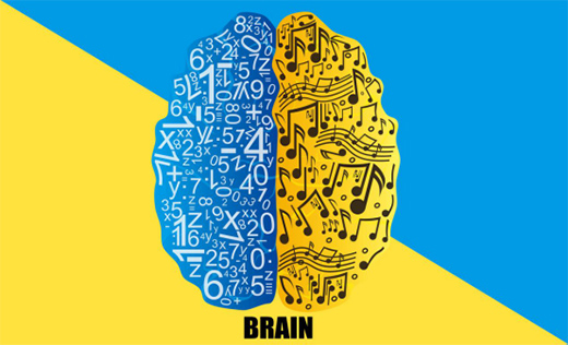 ���Y�Ó�����ÿ�����ӣ������������Ó�����