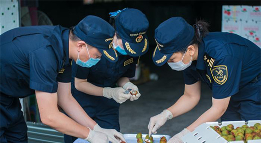 �V�|�ϰ������Q(m��o)��ֵ3.06�f�|Ԫ �������Y������1.7��